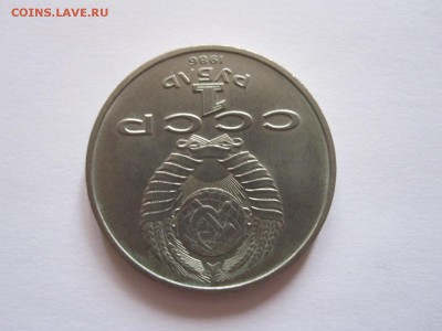 Год мира 1986 шалаш короткий 10.10 22:05 - IMG_9939.JPG