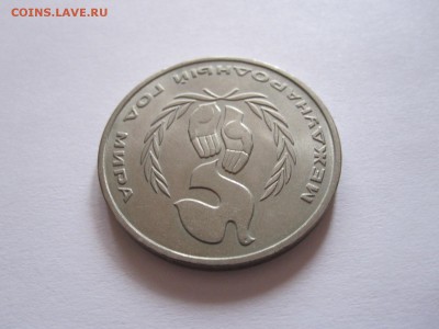 Год мира 1986 шалаш короткий 10.10 22:05 - IMG_9941.JPG