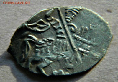 3-чешуйки,определение и оценка - DSCN2098.JPG