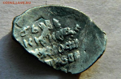 3-чешуйки,определение и оценка - DSCN2095.JPG