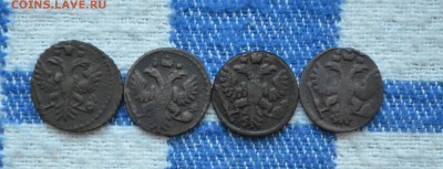 4 полушки 1731-1736 гг.до 19.10.2016 21-00 по МСК - DSC_0146.JPG
