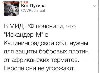 И опять - одним абзацем! - БОБРЫ