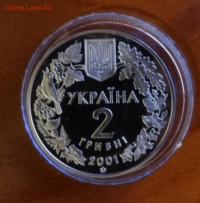 Украина 2001 Фауна - Рысь до 12.10.2016г 22-00 - DSC01384.JPG