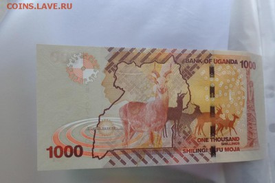 Уганда 1000 2010г,Ливан 5 пресс  до 13.10  в 21-00 мск - DSC04887.JPG