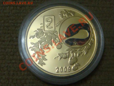 -v- Корея 20 вон 2009г. Змей до 20.12(21.00) - DSC09935.JPG