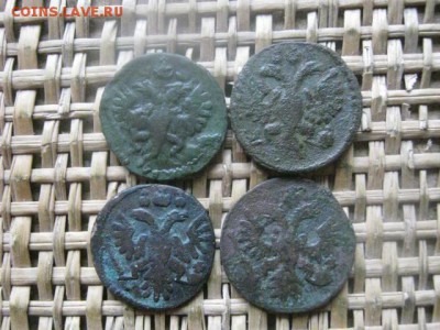 Полушки, 4 шт. 1731-1736г. До 17.10.2016г. - 051.JPG