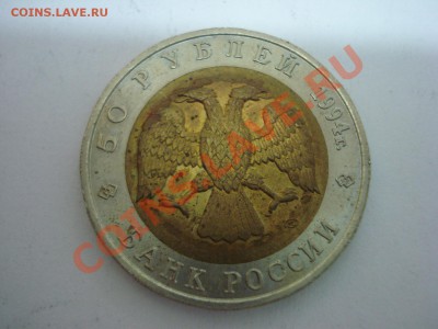 Красная Книга, 1994г, Зубр, до 22.12.2010 22-00 - DSC04864.JPG