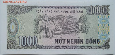 ВЬЕТНАМ - 1000 донгов 1988 г. пресс до 17.10 в 22.00 - DSCN8429