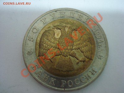 Красная Книга, Слепыш, 1994г, до 22.12.2010 22-00 - DSC04866.JPG