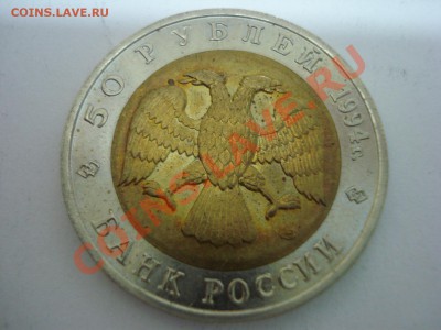 Красная Книга, Сапсан, 1994г, до 22.12.2010 22-00 - DSC04862.JPG