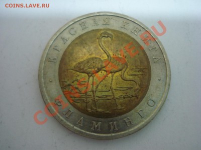 Красная Книга, Фламинго, 1994г, до 22.12.2010 22-00 - DSC04867.JPG