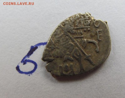 10 интересных чешуек на оценку Мих Федорович - IMG_8200.JPG