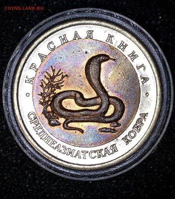 Красная книга Кобра 1992 года смещение - 1