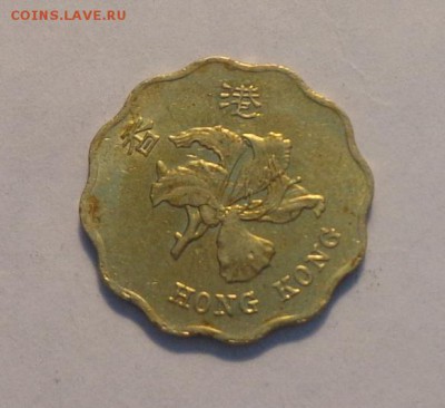 ГОНГКОНГ - 20ц ЦВЕТОК волнистая до 18.10, 22.00 - Гонконг 20 ц волнистая Цветок_1