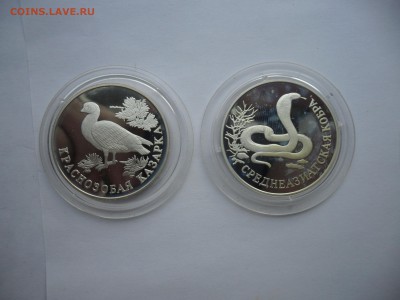 Монеты серебро Россия 1993-2001 Оценка - SAM_5702.JPG