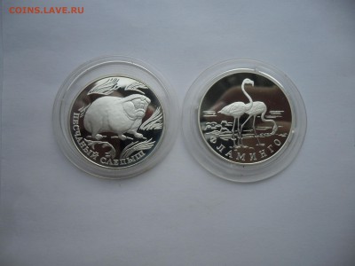 Монеты серебро Россия 1993-2001 Оценка - SAM_5706.JPG