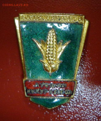 Знак Костромская область. Лучшему кукурузоводу до 13.10 - DSC03926.JPG