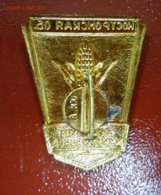 Знак Костромская область. Лучшему кукурузоводу до 13.10 - DSC03928.JPG
