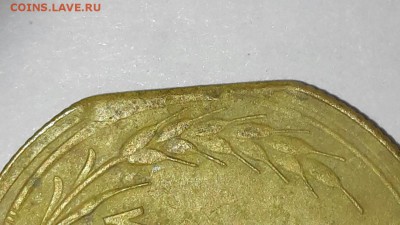 Брак "Край листа" на оценку - 20160826_092833