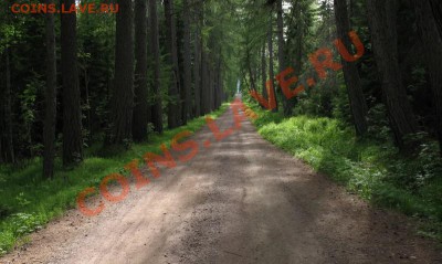 ФОТО - просто фото. Те что получились удачными. - IMG_3634