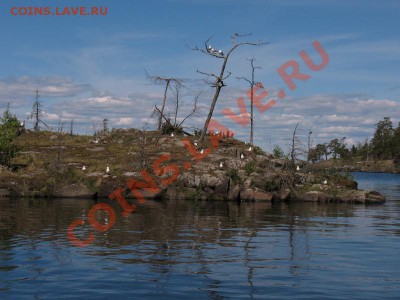 ФОТО - просто фото. Те что получились удачными. - IMG_3592