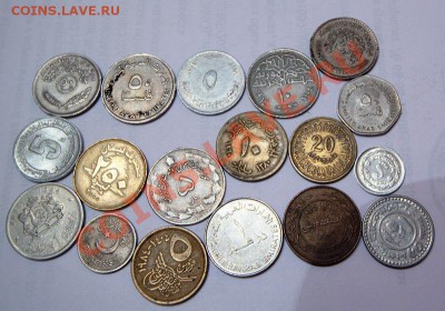 арабы, ислам до 22 дек 22-00 - IMG_1166.CR2