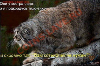 юмор - юмор3
