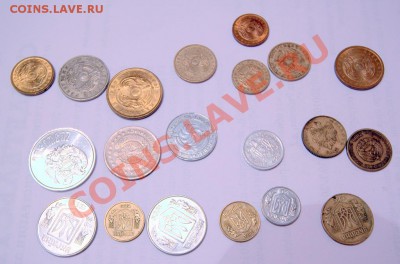 СНГ до 22-00 22 декабря - IMG_1157.CR2
