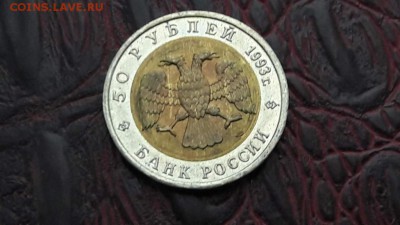 Зублефар. Красная книга 1993. До 20.10.16 - IMG_20161014_001459_41