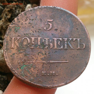 5 копеек 1831 ЕМ ФХ - до 17.10.16 в 22:00 - с 200р! - 5_1831_1