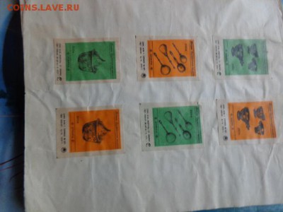 Спичечные этикетки  65 шт   до 19.10  в 22-00 мск - DSC05418.JPG