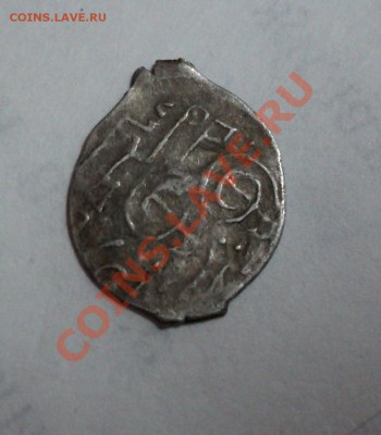 Прошу опознать чешуйку - DSC01842.JPG