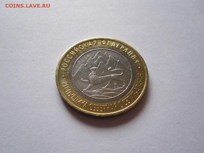 Алания гурт Сочи из мешка 17.10 22:00 - IMG_9123.JPG