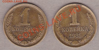 1копейка1981г.две разные. - IMG_0002