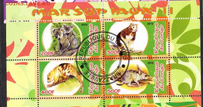 Конго 2010 фауна (1) - 14