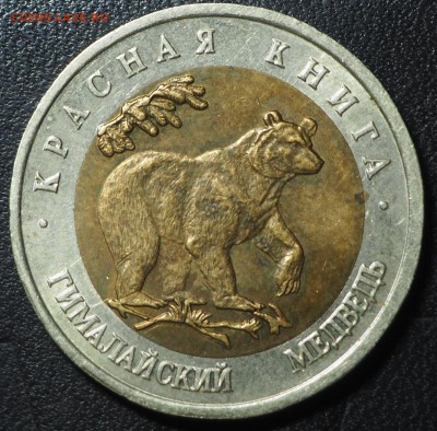 Красная книга 1993 Гималайский медведь до 18.10.16 в 22.00 - PA095148_thumb