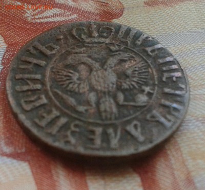 Полушка 1706г Подтверждение подлинности. - 317