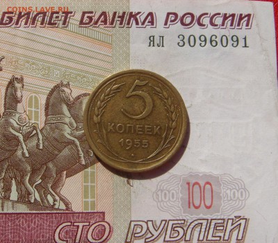 5 копеек 1955 ,5 штук, с 200, до 19.10.16 22.00мск - DSC06590.JPG