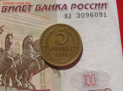 5 копеек 1955 ,5 штук, с 200, до 19.10.16 22.00мск - DSC06592.JPG