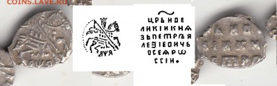 5 чешуек на определении - П1 КГ1674