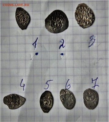 7 чешуек - IMG_5499.JPG