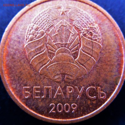 Белорусская ходячка. казусы! - 2016-10-13 12-04-50.JPG