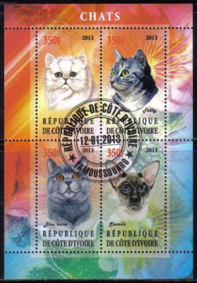 Кот Д Ивуар 2013г мл Кошки №2 до 19.10 22.00мск - Кот Д Ивуар 2013г мл Кошки №2