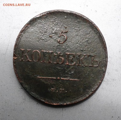 5 копеек 1831.На оценку - IMG_4125.JPG