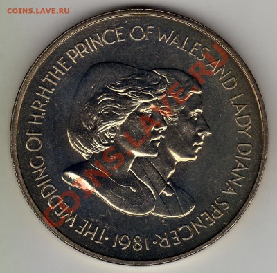 Фолкленды 50пенс. 1981 Чарлз и Диана до 22.12.10 в 22.00 мск - img514