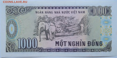ВЬЕТНАМ - 1000 донгов 1988 г. пресс до 24.10 в 22.00 - DSCN8600