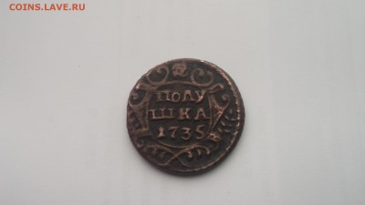 Полушка 1735 хорошая 24.10.16 22.00МСК - DSCF3529.JPG
