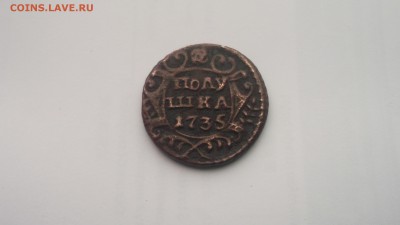 Полушка 1735 хорошая 24.10.16 22.00МСК - DSCF3530.JPG