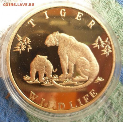 1 с. 2001г. Южная Корея (тигры). - 27-0.JPG