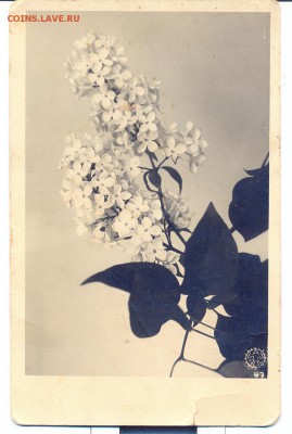 Открытка из Риги 1940г. - открытка из Риги 1940